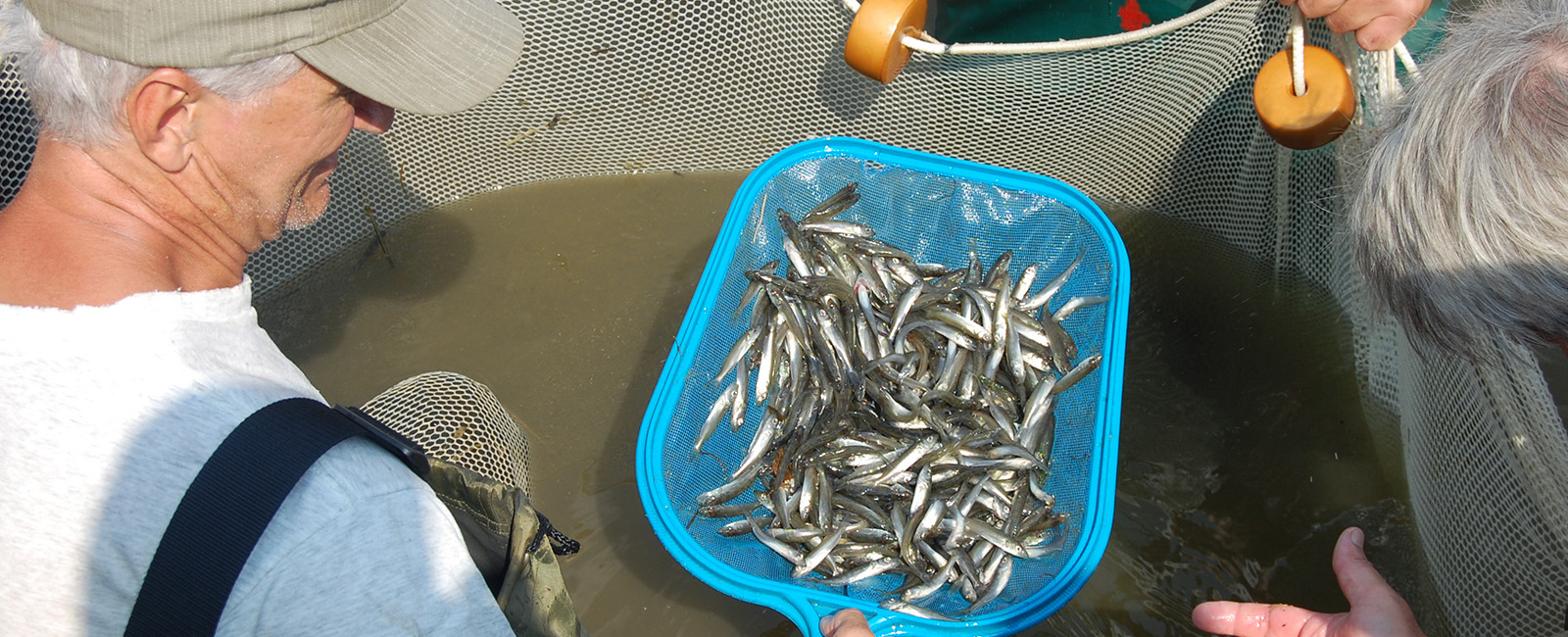 Home Page Ontario Community Hatchery Program